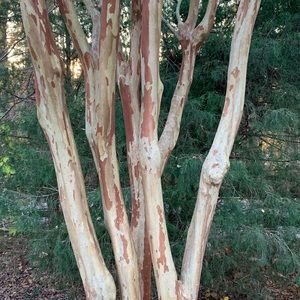 Meet your Posher, Marne